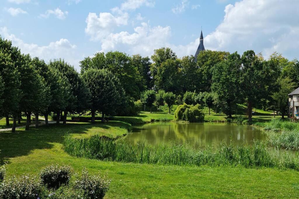 maison centre de bellegarde avec jardin et terrasse équipée d'un salon de jardin et d'un barbecue cuisine équipée 3 chambres avec 2 lits double 140x190 et 2 lits simple chauffage poêle à granulés parking gratuit devant la maison Bellegarde-du-Loiret Esterno foto